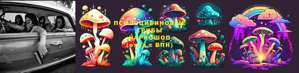 стафф Алексин