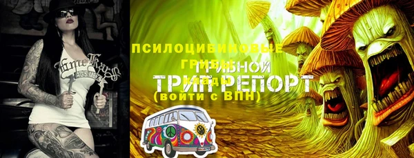 стафф Алексин