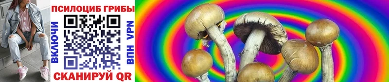 Псилоцибиновые грибы Magic Shrooms  Петрозаводск 
