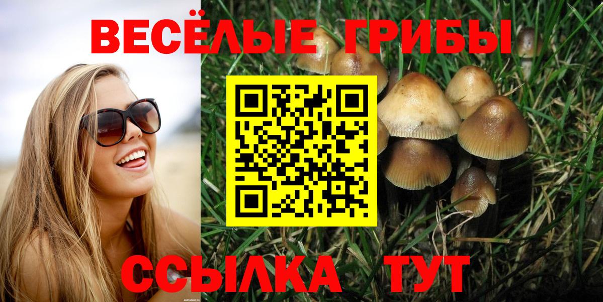 Псилоцибиновые грибы MAGIC MUSHROOMS  Вход с VPN  Петрозаводск  Псилоцибиновые грибы Magic Shrooms 