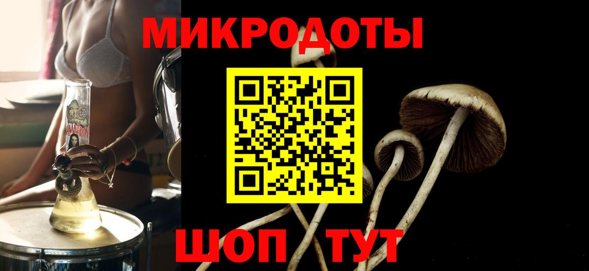 Псилоцибиновые грибы MAGIC MUSHROOMS Петрозаводск