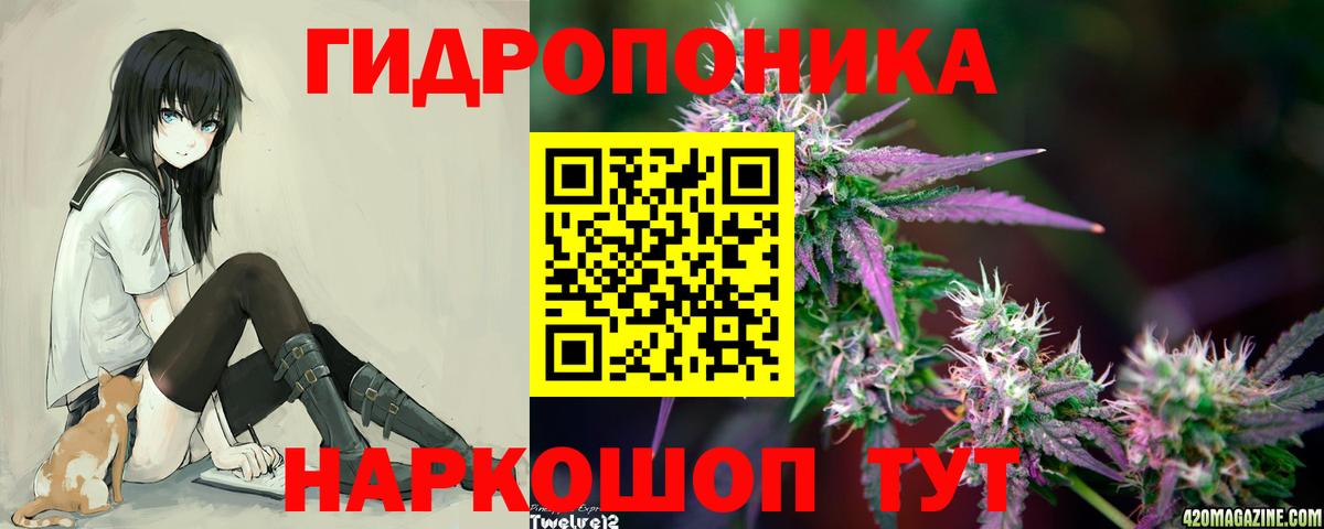 Канабис Amnesia  Канабис Amnesia  МАРИХУАНА Bruce Banner  Вход с VPN  Петрозаводск 